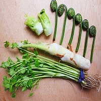 wintervegetable