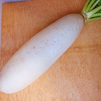 Radish